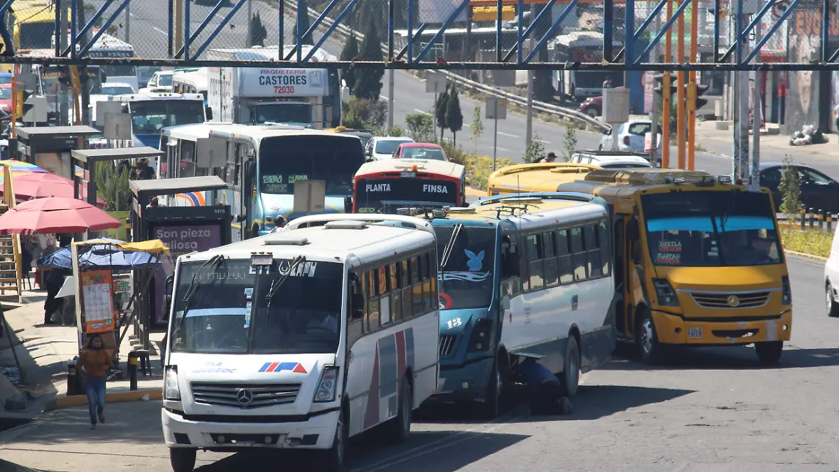 TRANSPORTE BIBIAN